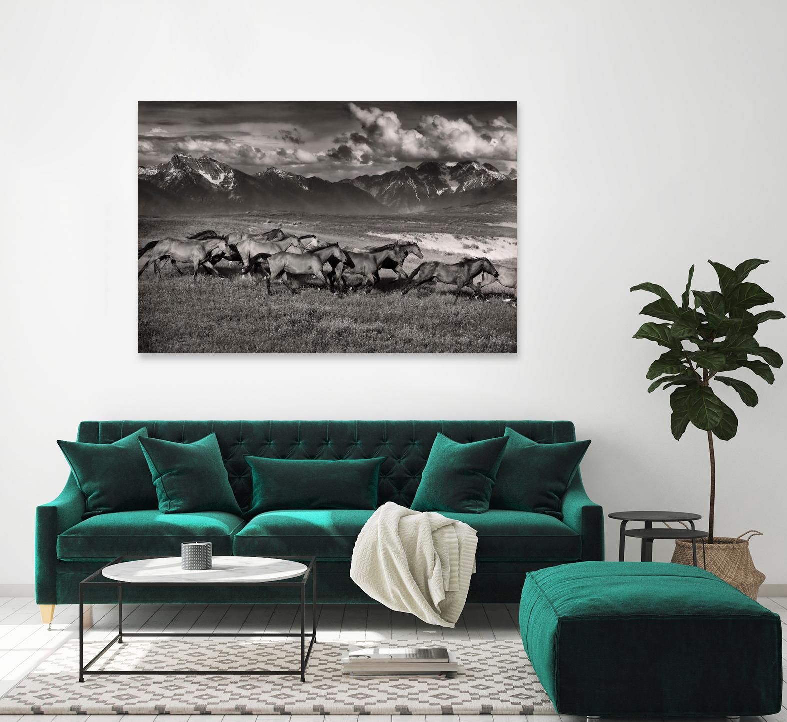 Mountain Range Mavericks by Lisa Dearing on GIANT ART - multicolor photography; animals