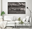 Mountain Range Mavericks by Lisa Dearing on GIANT ART - multicolor photography; animals