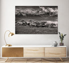 Mountain Range Mavericks by Lisa Dearing on GIANT ART - multicolor photography; animals