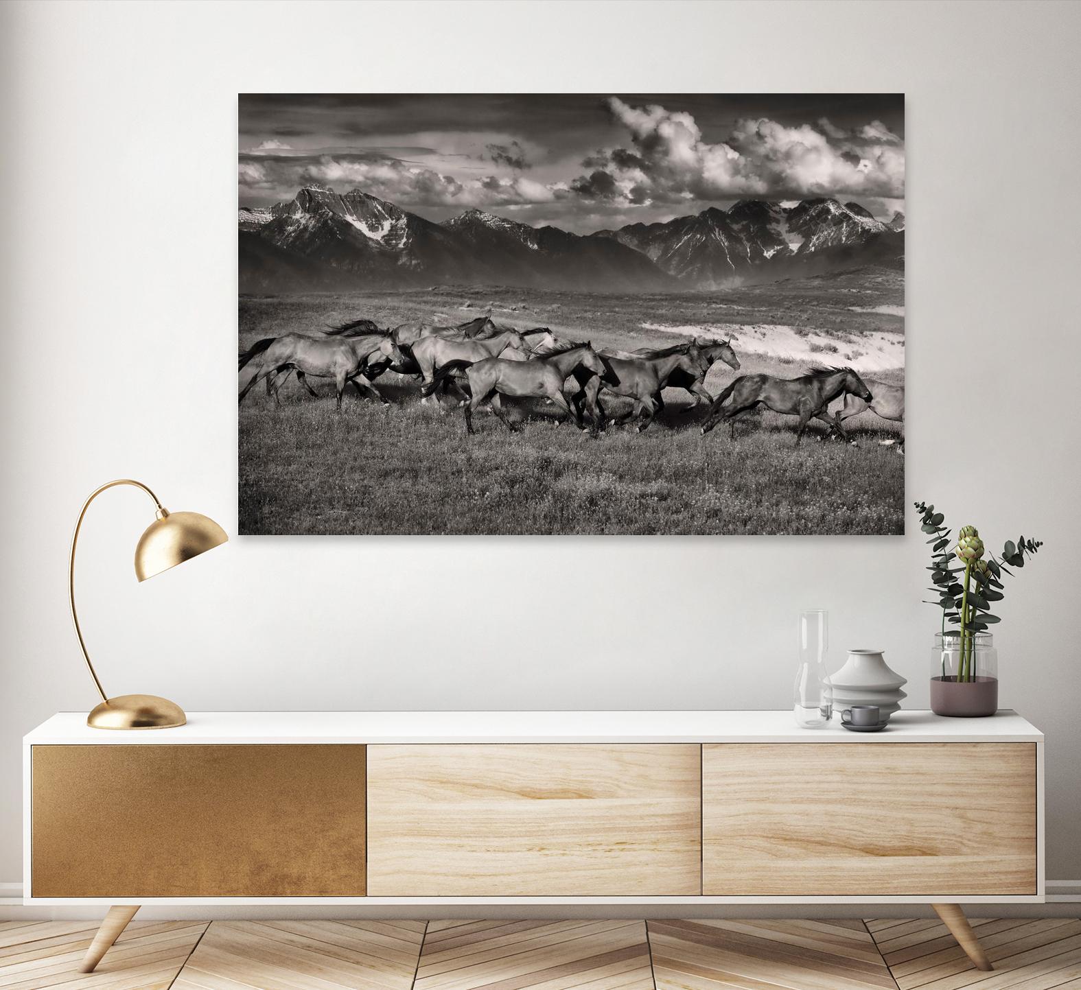 Mountain Range Mavericks by Lisa Dearing on GIANT ART - multicolor photography; animals