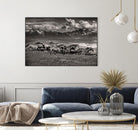 Mountain Range Mavericks by Lisa Dearing on GIANT ART - multicolor photography; animals
