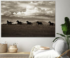 Racing the Clouds by Lisa Dearing on GIANT ART - multicolor photography; animals