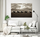 Racing the Clouds by Lisa Dearing on GIANT ART - multicolor photography; animals