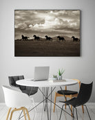 Racing the Clouds by Lisa Dearing on GIANT ART - multicolor photography; animals