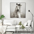 Caballo de Andaluz by Lisa Dearing on GIANT ART - grey animals