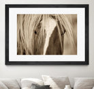 The Blonde by Lisa Dearing on GIANT ART - beige animals
