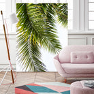 Palm Leaves by Lexie Greer on GIANT ART - multicolor photography; floral/still life