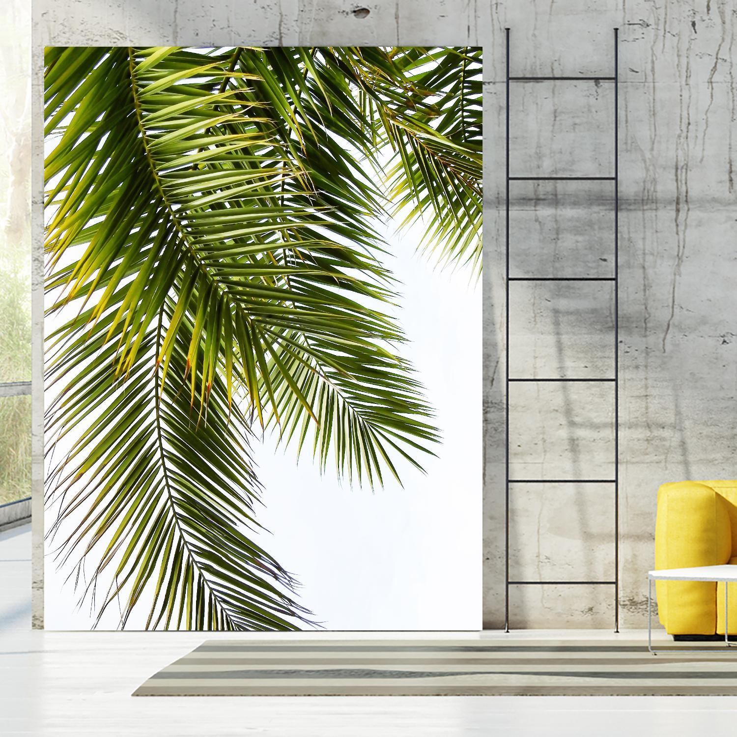 Palm Leaves by Lexie Greer on GIANT ART - multicolor photography; floral/still life