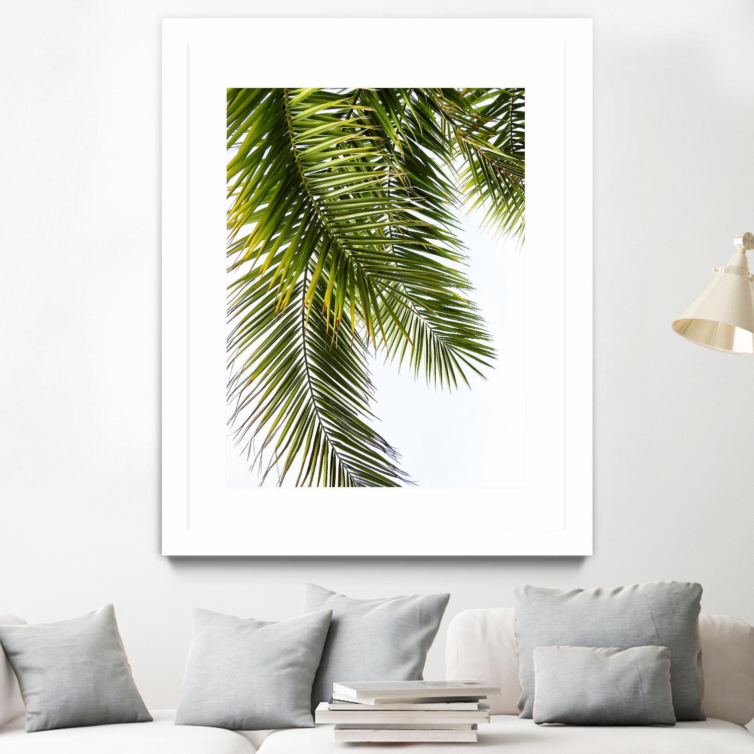 Palm Leaves by Lexie Greer on GIANT ART - multicolor photography; floral/still life