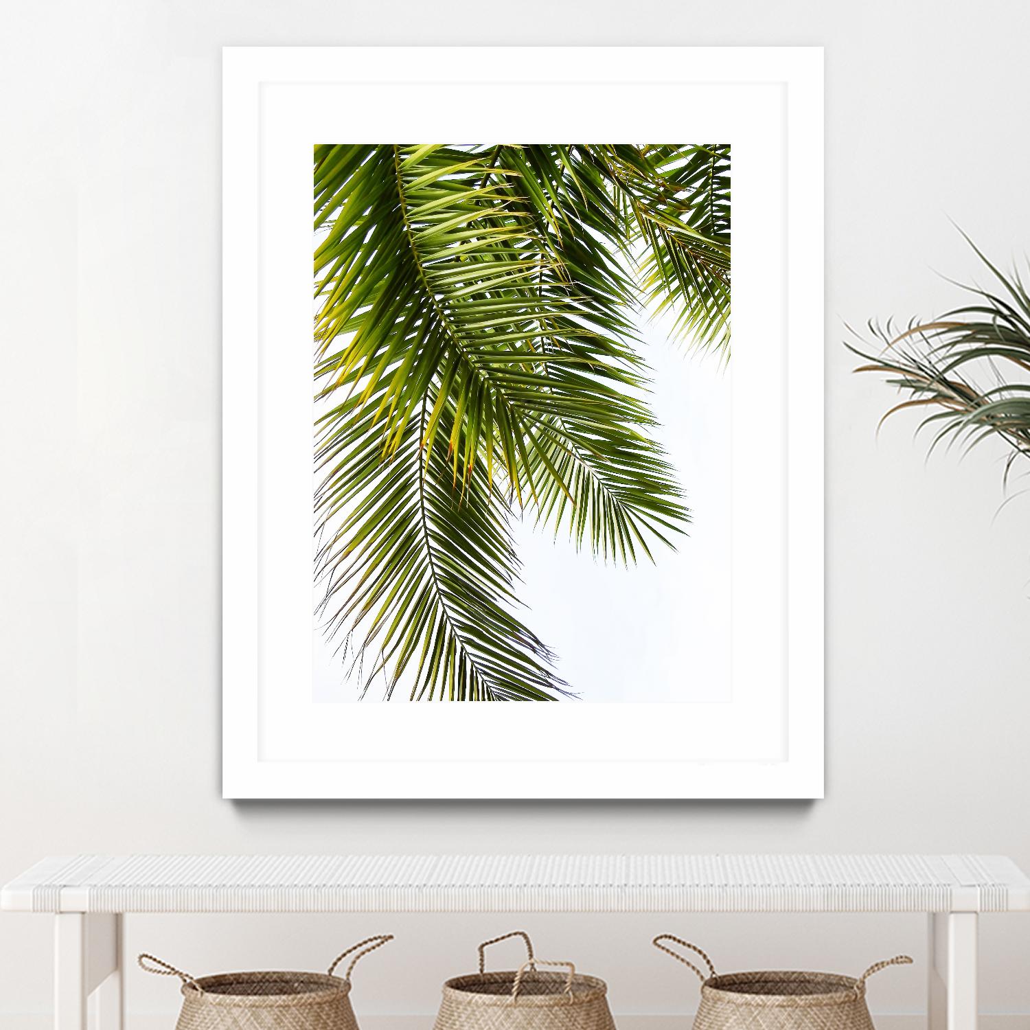 Palm Leaves by Lexie Greer on GIANT ART - multicolor photography; floral/still life