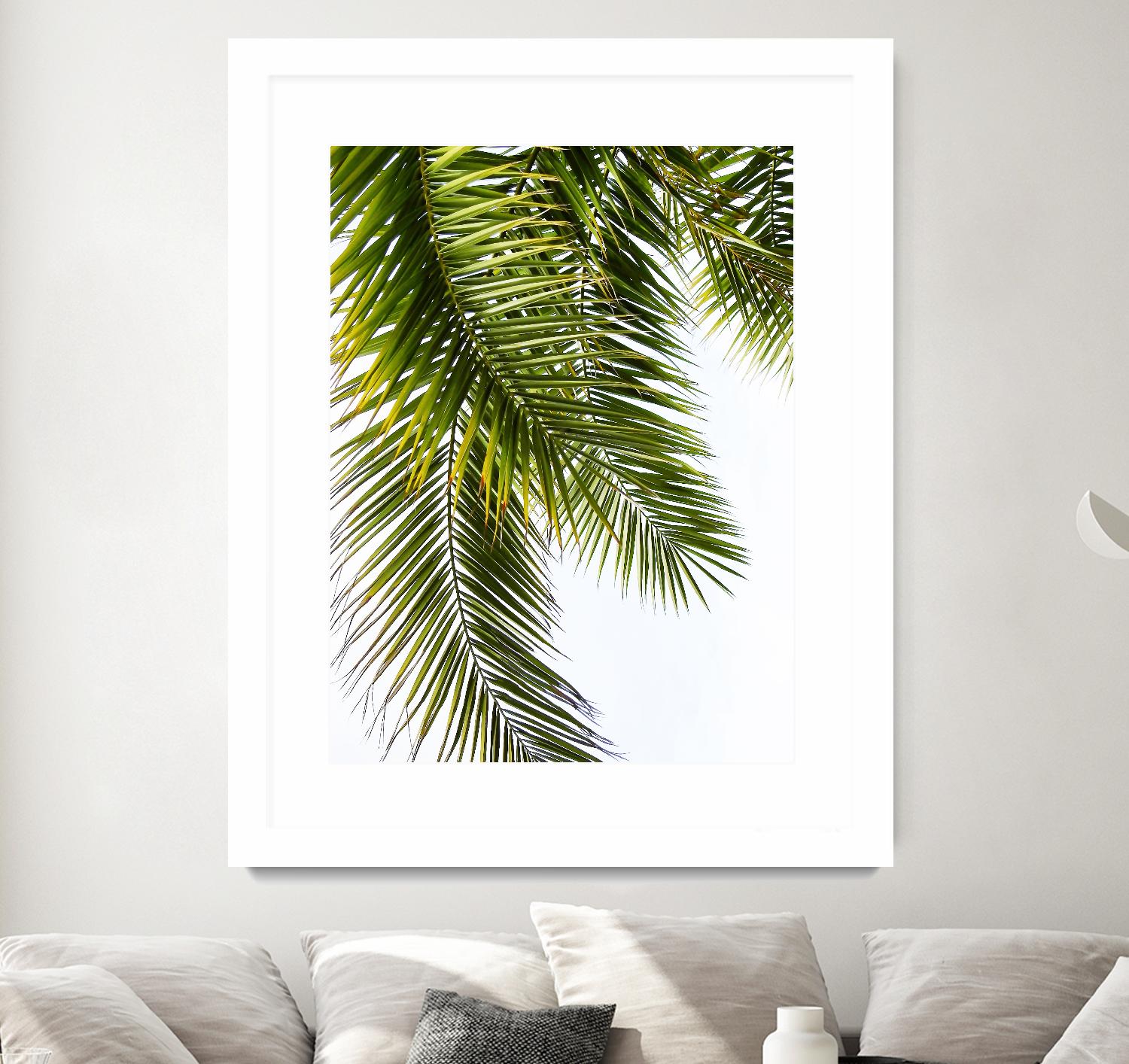 Palm Leaves by Lexie Greer on GIANT ART - multicolor photography; floral/still life