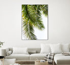 Palm Leaves by Lexie Greer on GIANT ART - multicolor photography; floral/still life