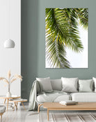 Palm Leaves by Lexie Greer on GIANT ART - multicolor photography; floral/still life