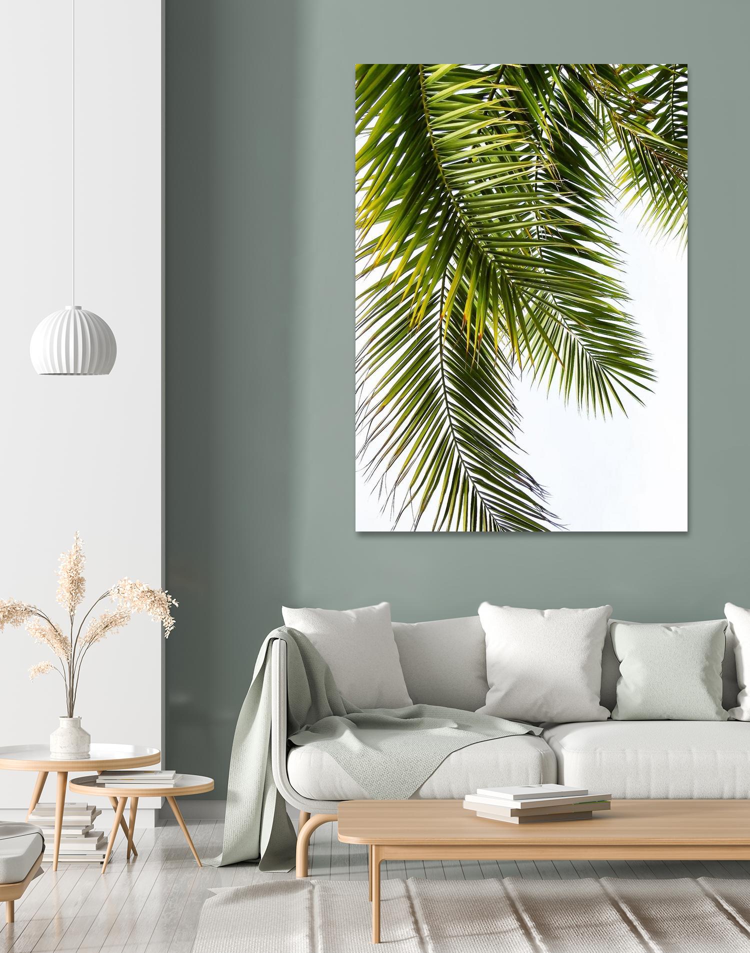 Palm Leaves by Lexie Greer on GIANT ART - multicolor photography; floral/still life