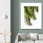 Palm Leaves by Lexie Greer on GIANT ART - multicolor photography; floral/still life