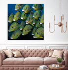 Shoal of Grunts by Jan Henderson on GIANT ART - multicolor animals