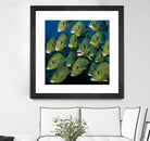 Shoal of Grunts by Jan Henderson on GIANT ART - multicolor animals