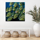 Shoal of Grunts by Jan Henderson on GIANT ART - multicolor animals