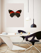 Agrias amydon by Incado on GIANT ART - multicolor animals; floral/still life