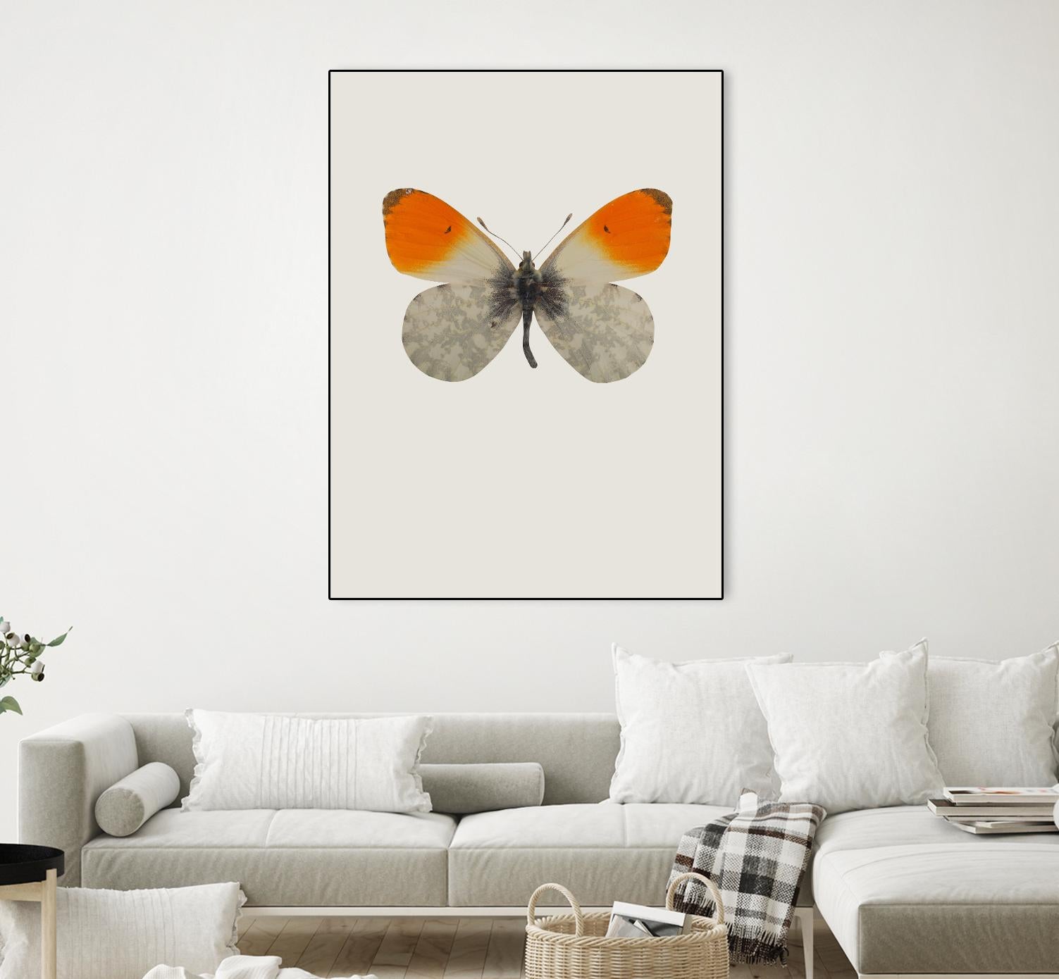 Agrias amydon by Incado on GIANT ART - multicolor animals; floral/still life