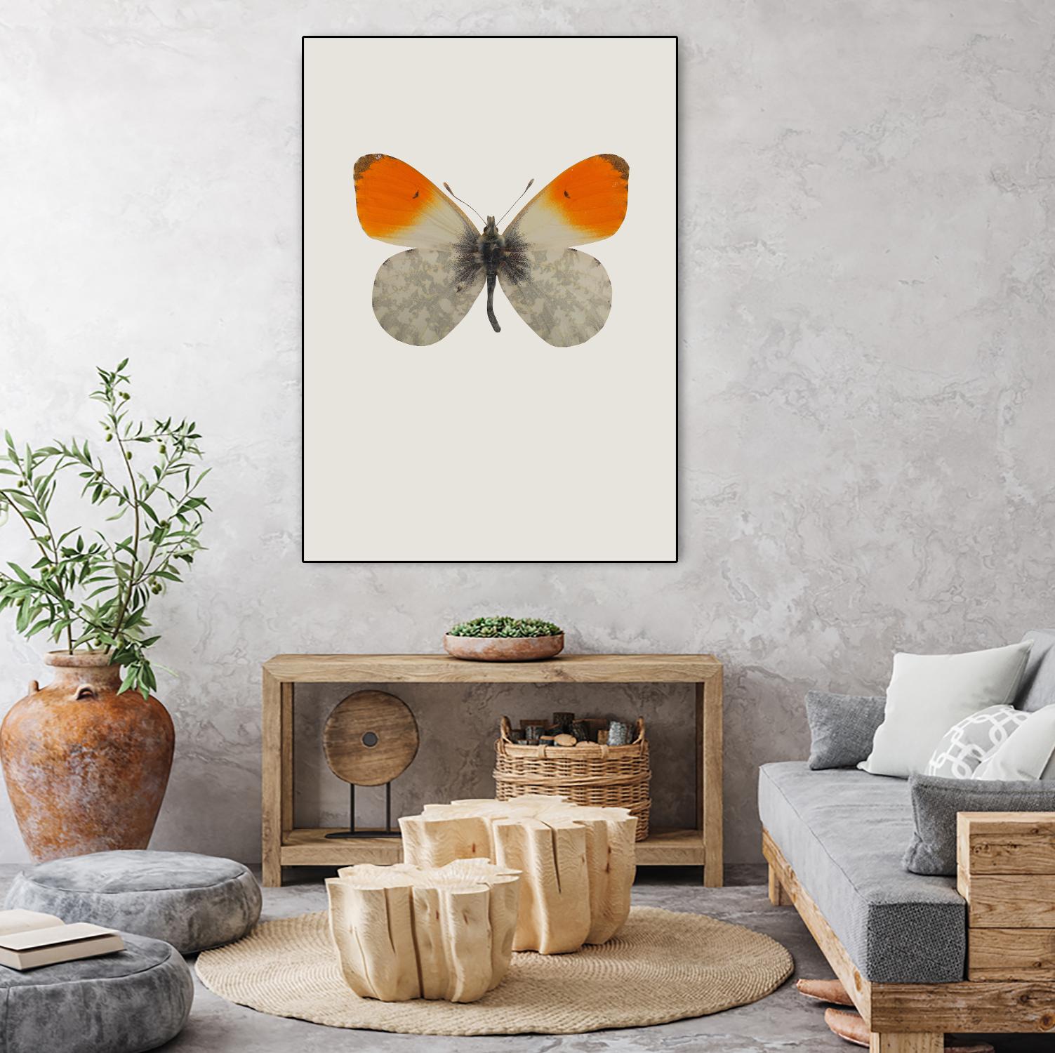 Agrias amydon by Incado on GIANT ART - multicolor animals; floral/still life