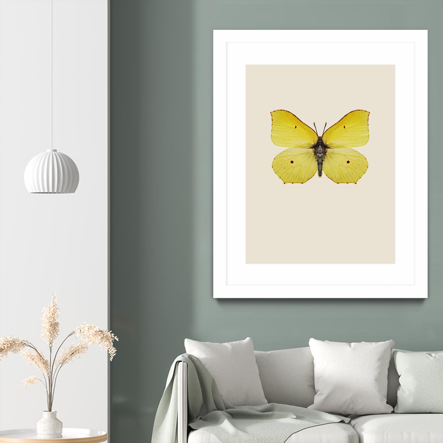 Gonepteryx rhamni by Incado on GIANT ART - multicolor animals; floral/still life