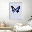 Blue Butterfly by Incado on GIANT ART - multicolor animals; floral/still life