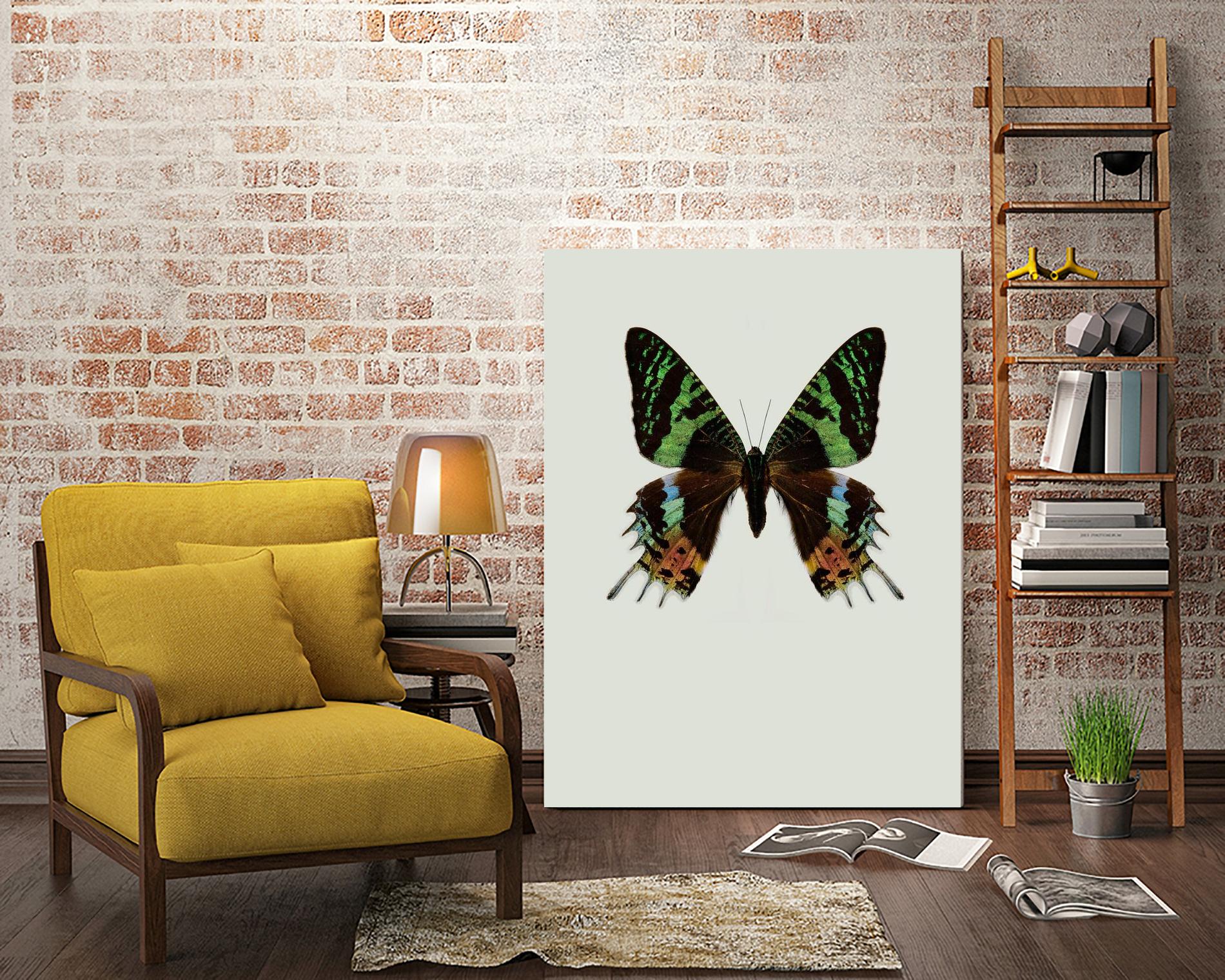 Chrysiridia rhipheus by Incado on GIANT ART - multicolor animals; floral/still life