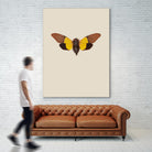 Cicada by Incado on GIANT ART - multicolor animals; floral/still life