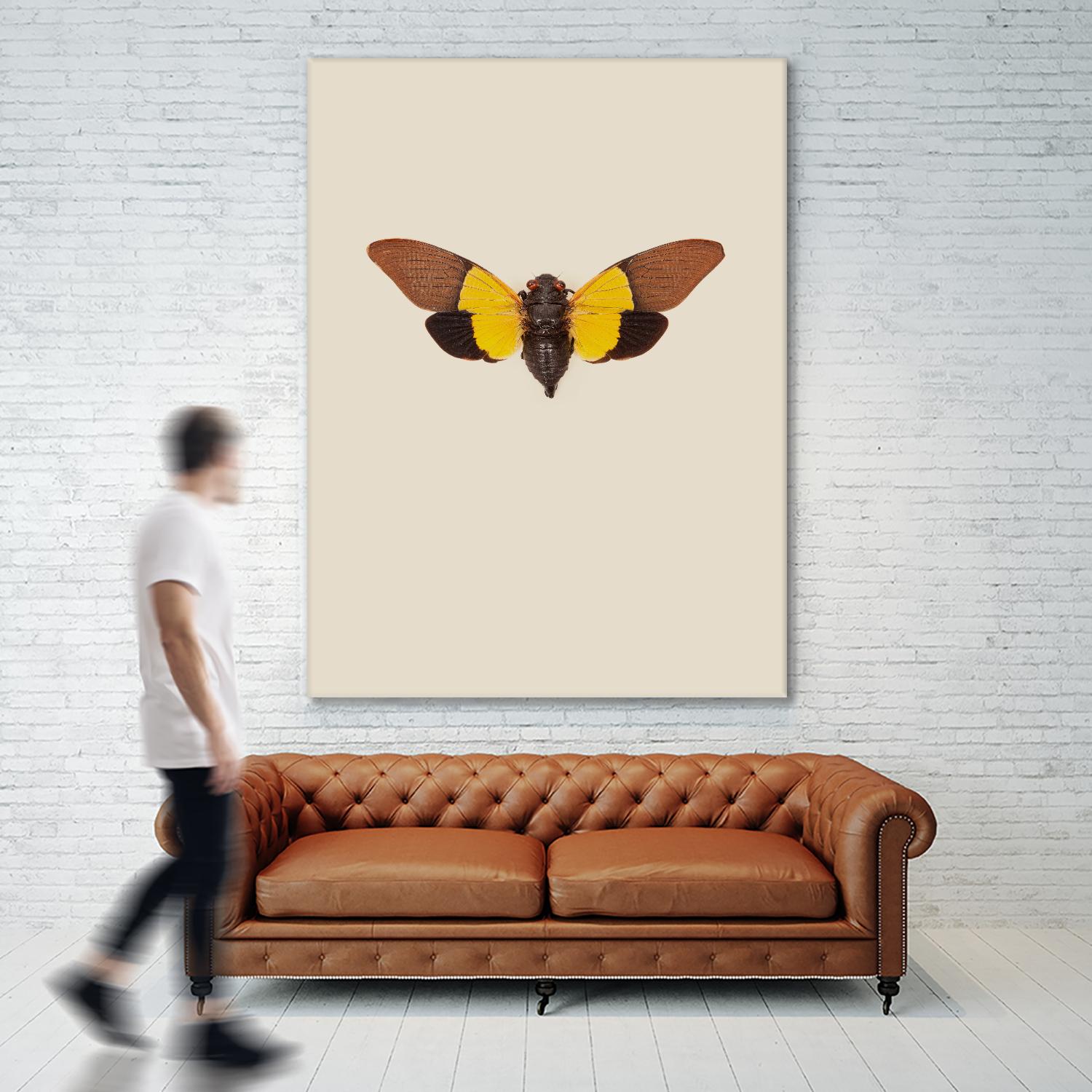 Cicada by Incado on GIANT ART - multicolor animals; floral/still life