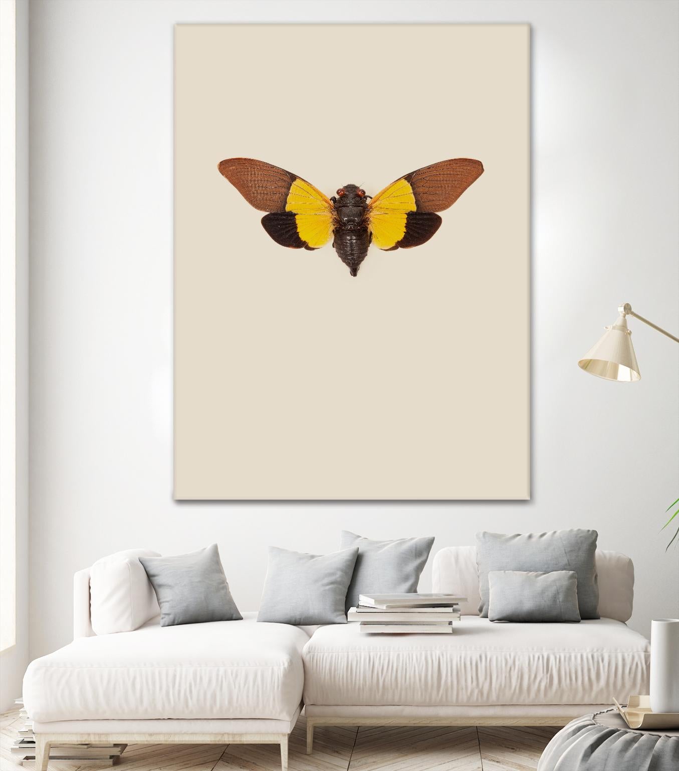 Cicada by Incado on GIANT ART - multicolor animals; floral/still life