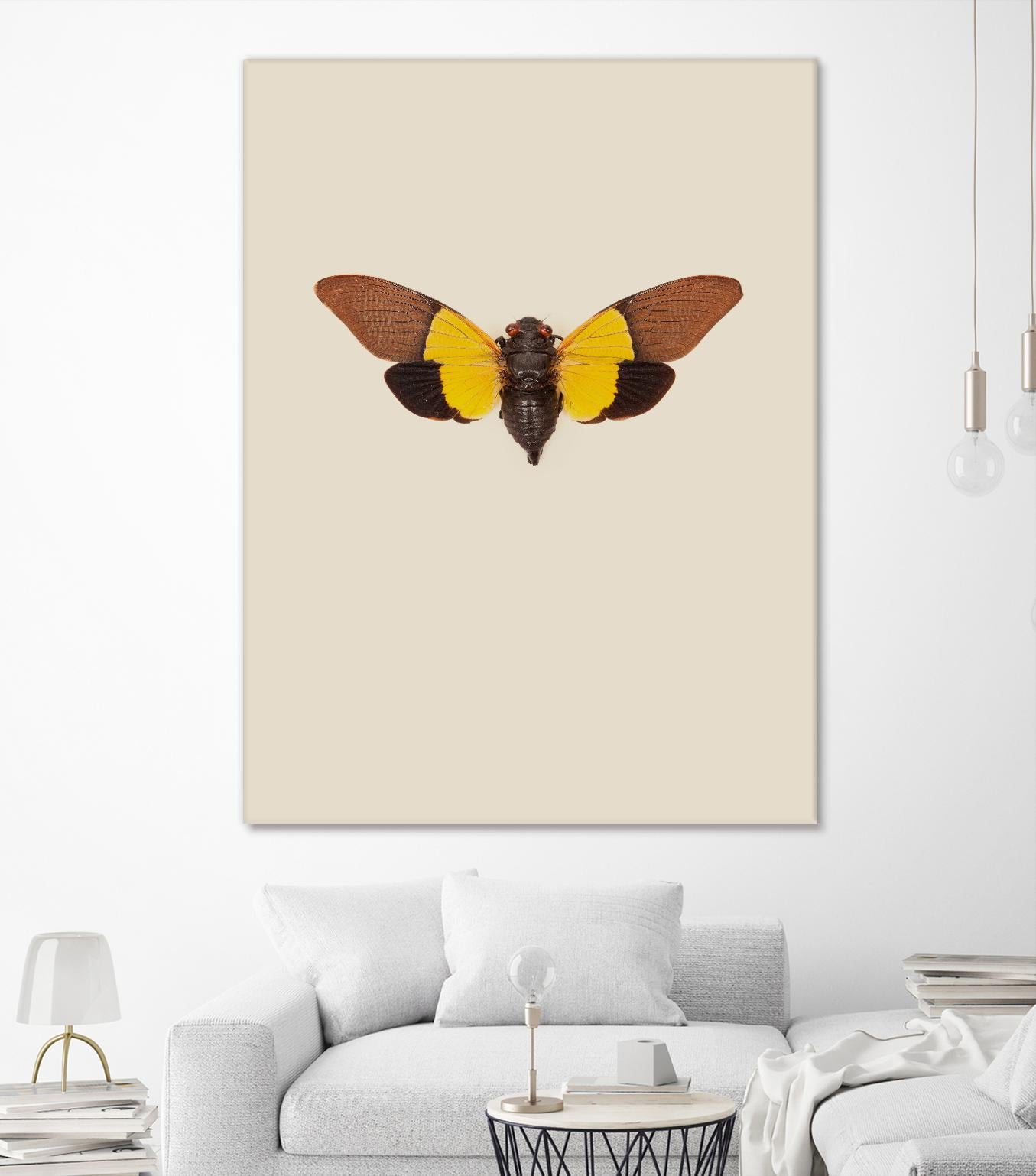 Cicada by Incado on GIANT ART - multicolor animals; floral/still life