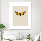 Cicada by Incado on GIANT ART - multicolor animals; floral/still life