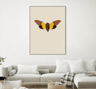 Cicada by Incado on GIANT ART - multicolor animals; floral/still life