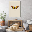 Cicada by Incado on GIANT ART - multicolor animals; floral/still life