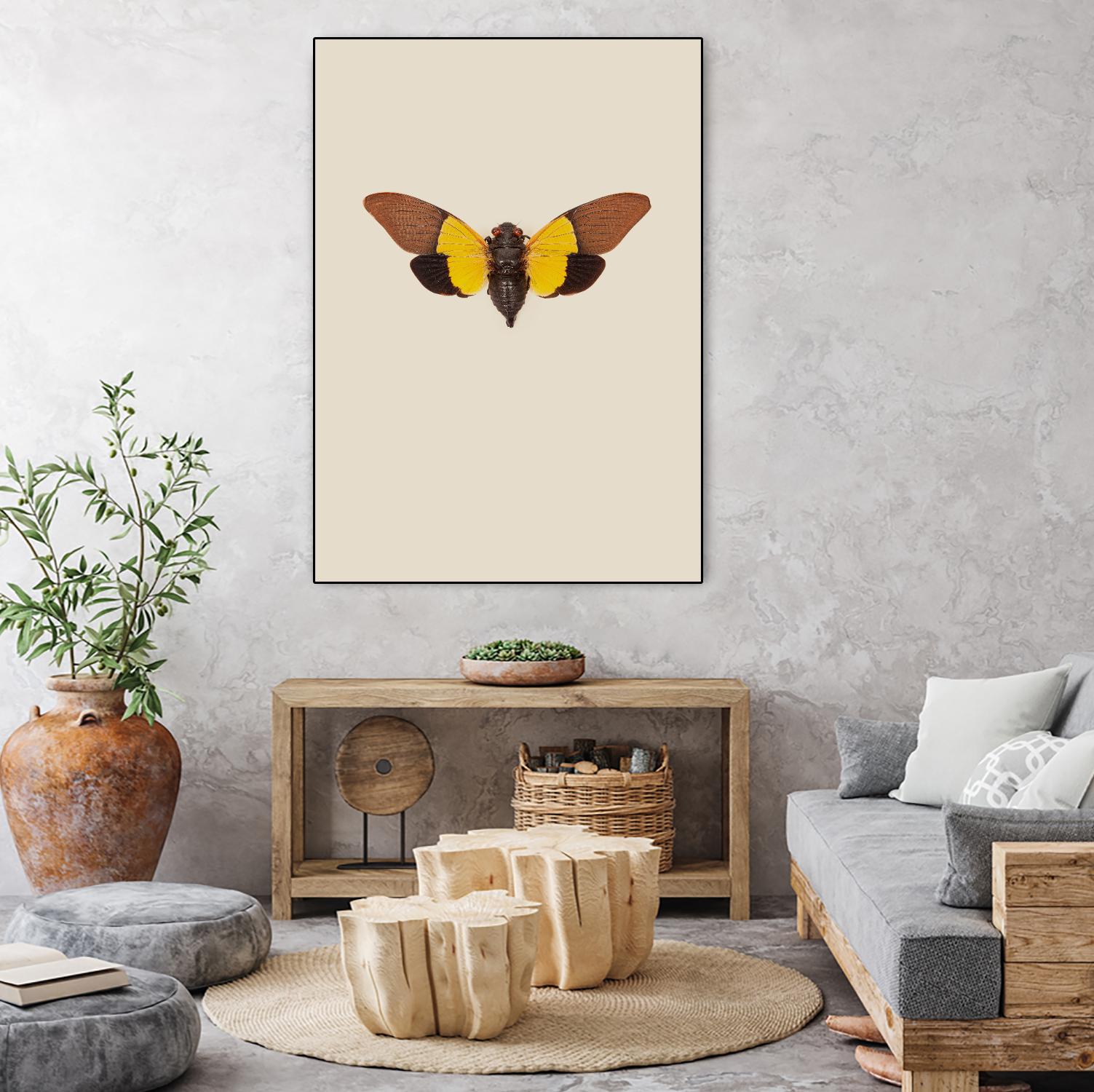 Cicada by Incado on GIANT ART - multicolor animals; floral/still life