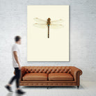 Dragonfly I by Incado on GIANT ART - multicolor animals; floral/still life