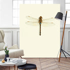 Dragonfly I by Incado on GIANT ART - multicolor animals; floral/still life