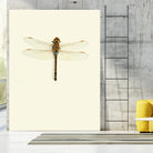 Dragonfly I by Incado on GIANT ART - multicolor animals; floral/still life