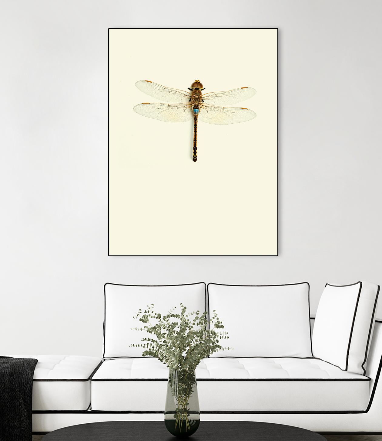 Dragonfly I by Incado on GIANT ART - multicolor animals; floral/still life