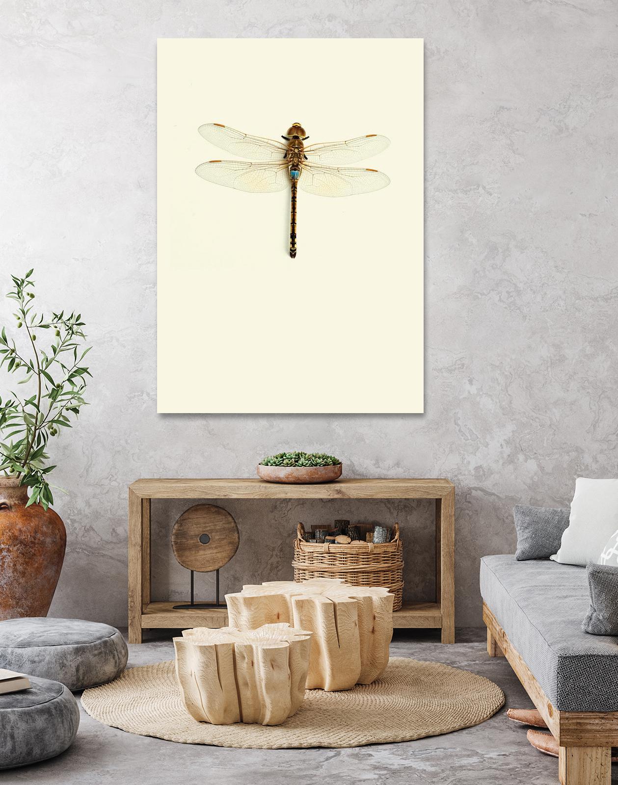 Dragonfly I by Incado on GIANT ART - multicolor animals; floral/still life
