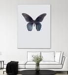 Great Mormon by Incado on GIANT ART - multicolor animals; floral/still life