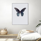Great Mormon by Incado on GIANT ART - multicolor animals; floral/still life