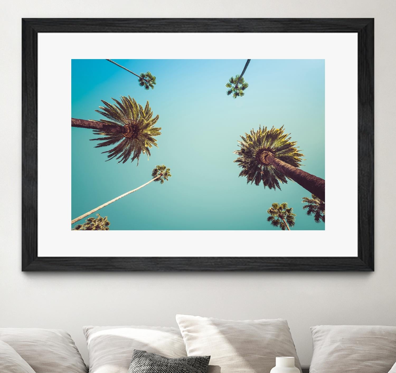 Palms by PhotoINC Studio on GIANT ART - multicolor photography; landscapes
