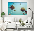Palms by PhotoINC Studio on GIANT ART - multicolor photography; landscapes