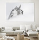 White Horse by PhotoINC Studio on GIANT ART - multicolor animals