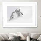 White Horse by PhotoINC Studio on GIANT ART - multicolor animals