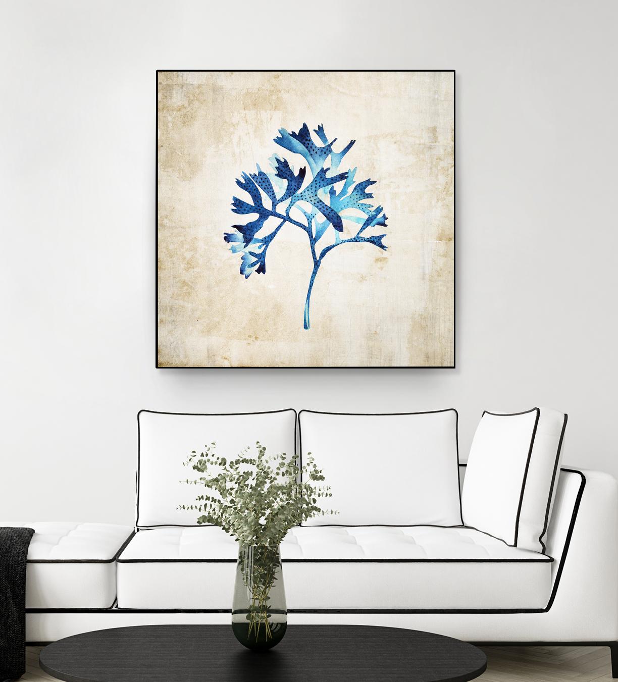 Sea life I by Incado on GIANT ART - multicolor floral/still life; contemporary