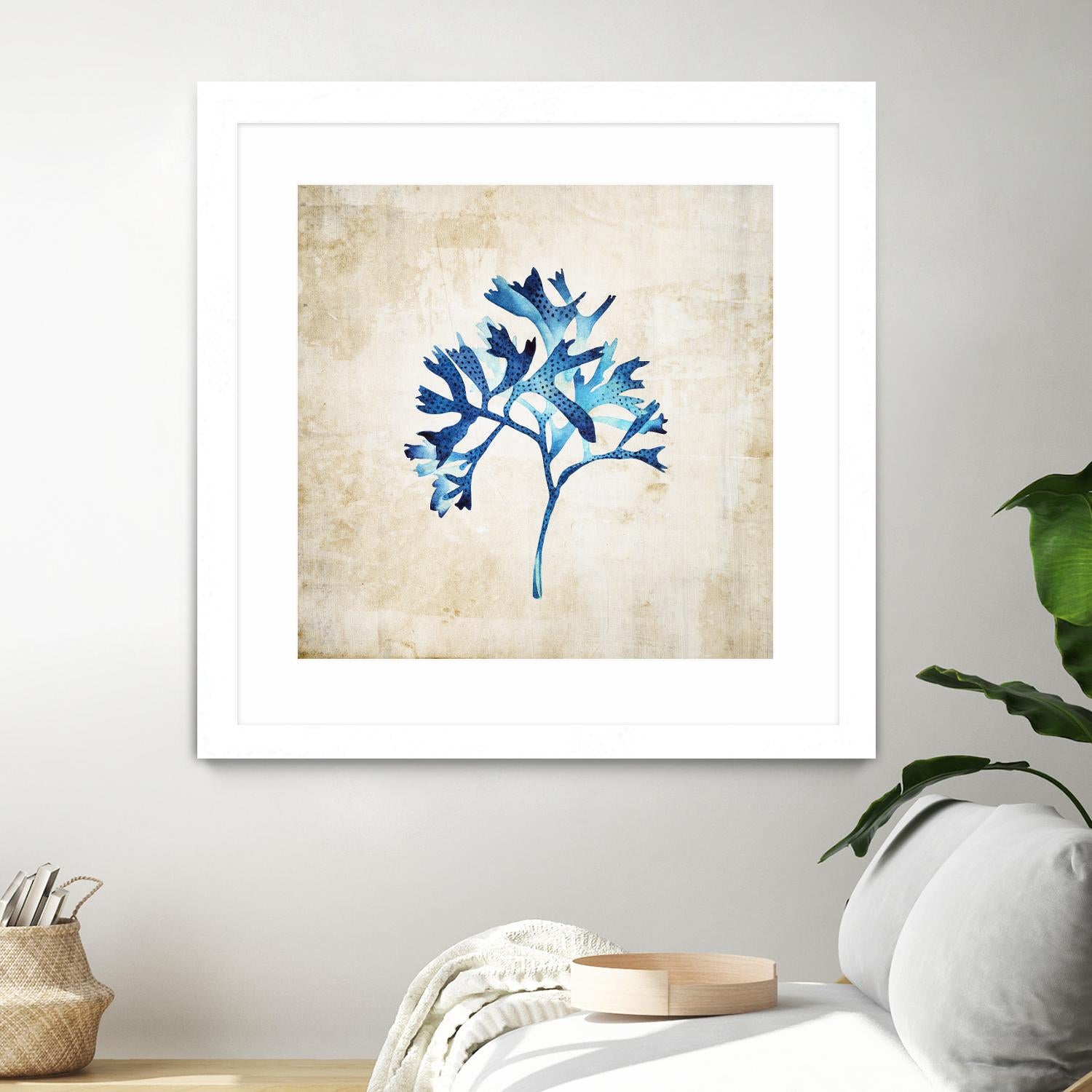 Sea life I by Incado on GIANT ART - multicolor floral/still life; contemporary