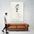 Bird is sweet by TypeLike on GIANT ART - multicolor animals